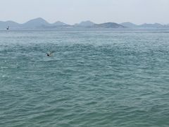 -海驴岛(荣成市)