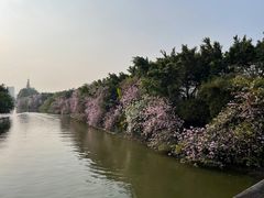 -海珠湖公园