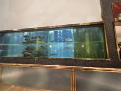 -顺峰顺水顺德菜(龙华店)