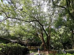 -徐家汇源景区-衡山公园