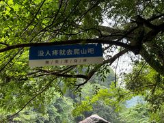 -石台牯牛降景区