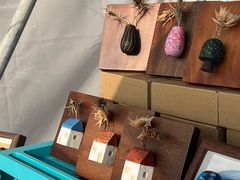 -长沙滨江文化园