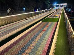 -大塘金香草谷