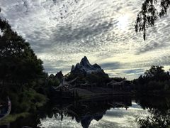 -奥兰多迪士尼动物王国乐园