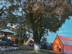 -Supine Bistro溯泮餐厅