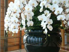 -视界美食自助餐厅·石家庄希尔顿酒店