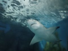 -常州海昌海洋探索馆
