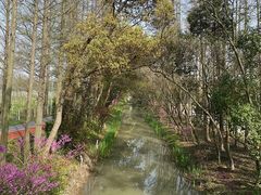 -上海长兴岛郊野公园
