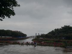 -万绿园