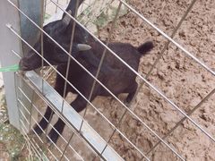 -迪茵湖田家舍生态农场