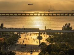 -宝安西湾红树林湿地公园