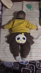 -龙文宝贝上门婴儿理发满月剃胎毛(浦东店)