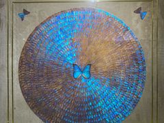 -上海昆虫博物馆