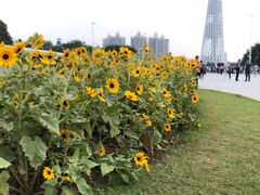 -海心沙亚运公园