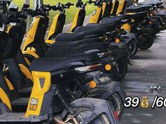 -紫颐香薰山谷景区