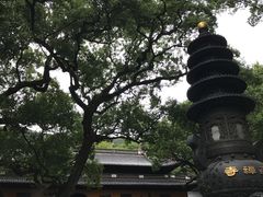 -普陀山风景名胜区-法雨禅寺