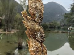 -靖西鹅泉风景区