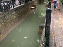 -小洲村