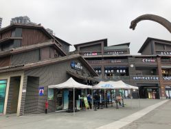 -恐龙探索乐园(磁器口店)