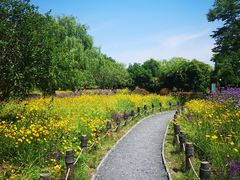 -梁鸿国家湿地公园