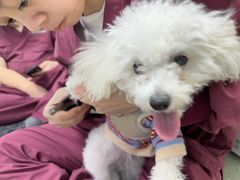-瑞派康怡24h宠物医院·犬猫医疗中心·微创绝育(瑞景分院)