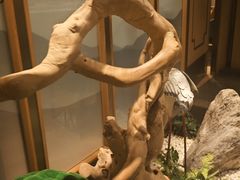 -百姓渔村(南中环店)