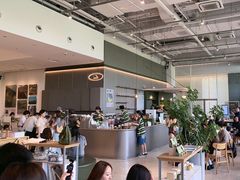 -SAANCI山池咖啡(海上世界文化艺术中心店)