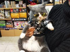 -奶牛家宠物酒店(嘉宏云顶店)