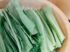 -龍歌自助小火锅(李沧顺和汇店)