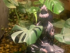 -邈墨茶馆(凤起路店)