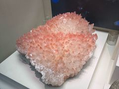 -天津自然博物馆