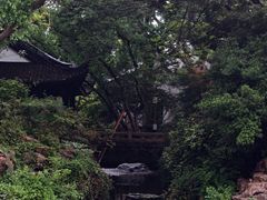 -上海醉白池公园