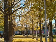 -北京科技大学-游泳馆