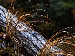 -青峰峡国家森林公园