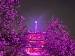 -东湖磨山景区樱花园-停车场