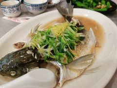 特价菜蒸碗鱼-粤·向群饭店(龙津东路总店)