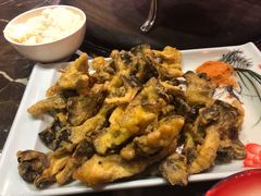 软炸鲜蘑-粗粮人家·东北菜(洋桥店)