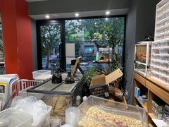 -酷以爬仙阁实体爬宠店·守宫·蜥蜴·专业繁育