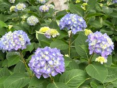 -常州古运河南大街文化旅游区-人民公园