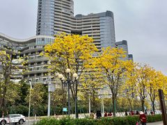 -洲头咀公园