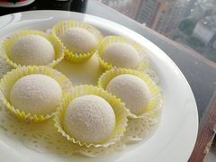 -云中小雅