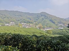 -龙井壹号·茶缘山景宴(龙井村店)