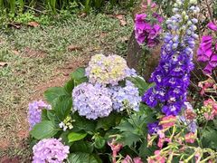 -人民公园(罗湖区)