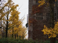 -百林公园-两江幸福广场