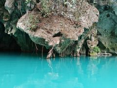 -三门海