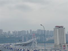 -菜园坝水果市场