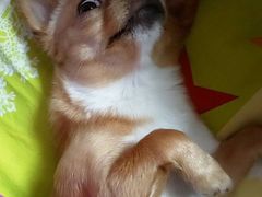 -北纬44度·金珠花海休闲农业旅游景区