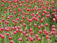 -长春公园(普阳街道)