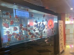 -玲珑汤泉生活会馆(花桥店)