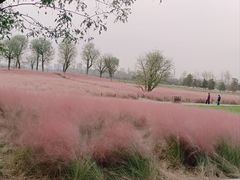 -汉长安城未央宫国家考古遗址公园